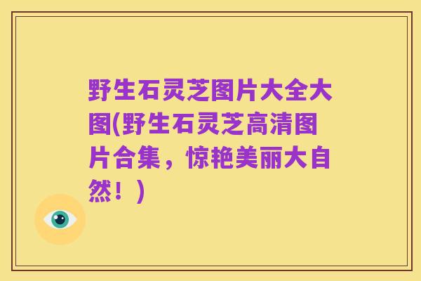 野生石灵芝图片大全大图(野生石灵芝高清图片合集，惊艳美丽大自然！)