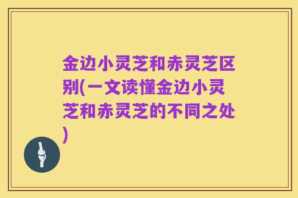 金边小灵芝和赤灵芝区别(一文读懂金边小灵芝和赤灵芝的不同之处)