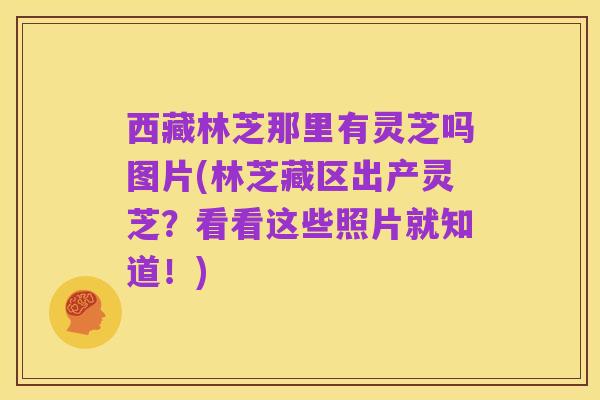西藏林芝那里有灵芝吗图片(林芝藏区出产灵芝?看看这些照片就知道!)