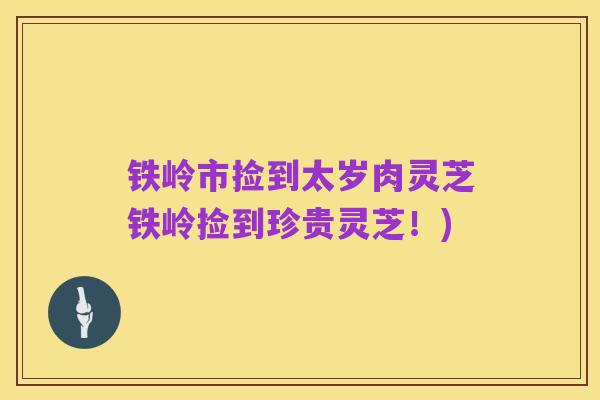 铁岭市捡到太岁肉灵芝铁岭捡到珍贵灵芝！)