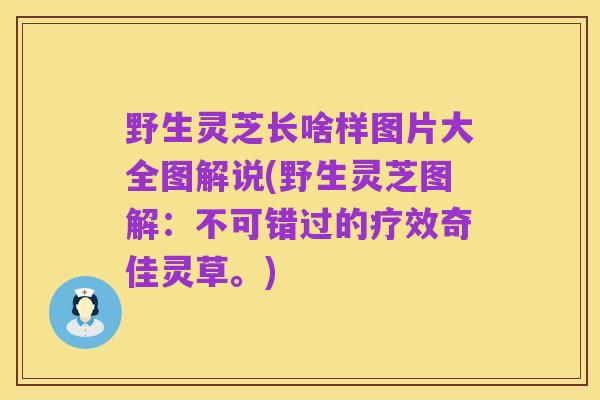 野生灵芝长啥样图片大全图解说(野生灵芝图解:不可错过的疗效奇佳灵草。)