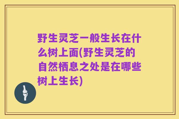 野生灵芝一般生长在什么树上面(野生灵芝的自然栖息之处是在哪些树上生长)