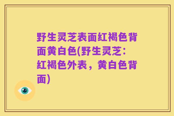 野生灵芝表面红褐色背面黄白色(野生灵芝:红褐色外表,黄白色背面)