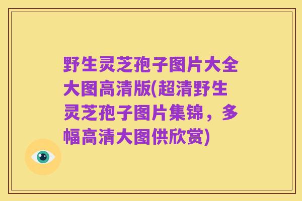 野生灵芝孢子图片大全大图高清版(超清野生灵芝孢子图片集锦,多幅高清大图供欣赏)