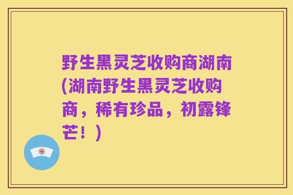 野生黑灵芝收购商湖南(湖南野生黑灵芝收购商,稀有珍品,初露锋芒!)