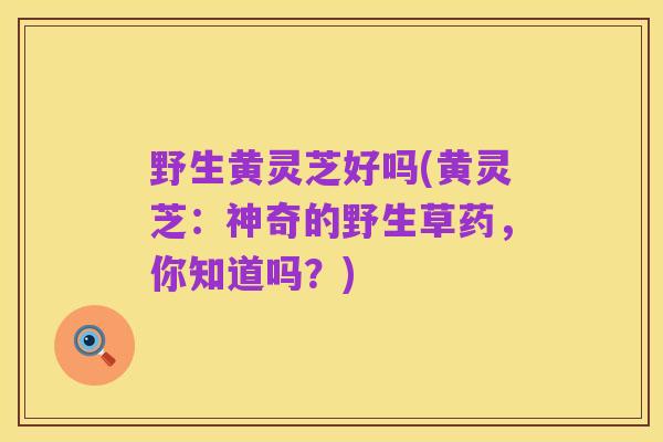野生黄灵芝好吗(黄灵芝:神奇的野生草药,你知道吗?)