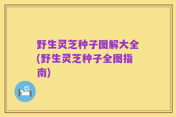 野生灵芝种子图解大全(野生灵芝种子全图指南)