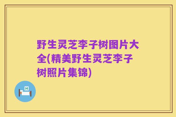 野生灵芝李子树图片大全(精美野生灵芝李子树照片集锦)