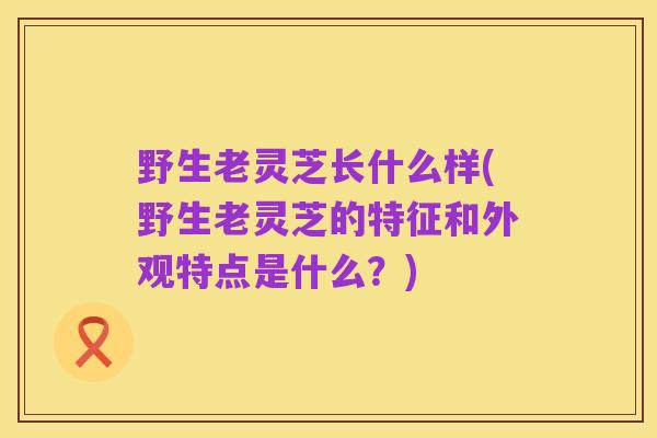 野生老灵芝长什么样(野生老灵芝的特征和外观特点是什么?)