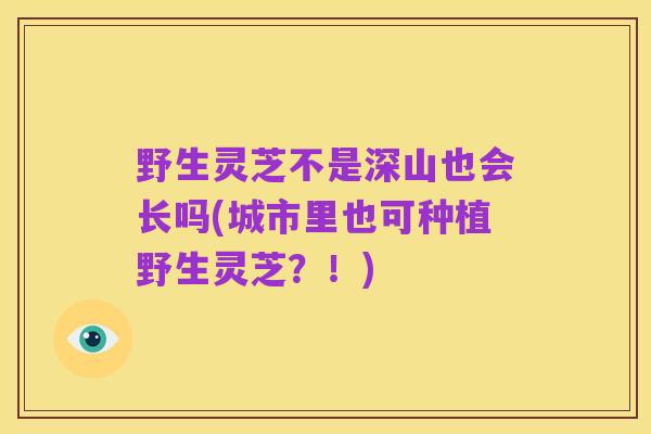 野生灵芝不是深山也会长吗(城市里也可种植野生灵芝?!)