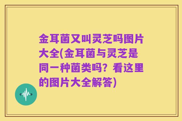 金耳菌又叫灵芝吗图片大全(金耳菌与灵芝是同一种菌类吗?看这里的图片大全解答)