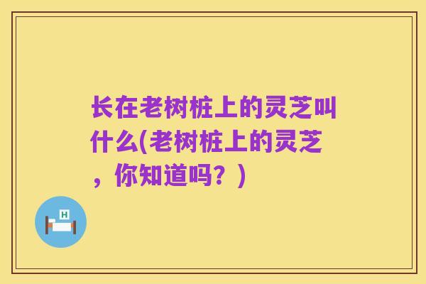 长在老树桩上的灵芝叫什么(老树桩上的灵芝,你知道吗?)
