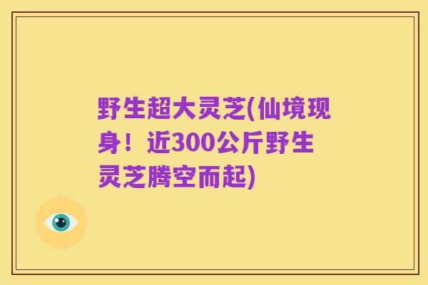 野生超大灵芝(仙境现身！近300公斤野生灵芝腾空而起)