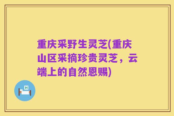重庆采野生灵芝(重庆山区采摘珍贵灵芝,云端上的自然恩赐)