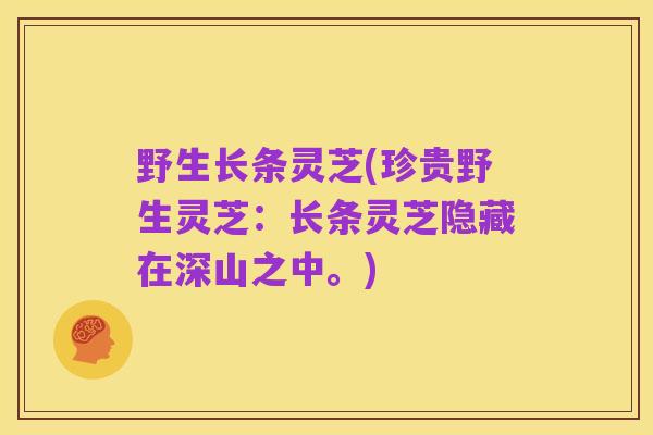 野生长条灵芝(珍贵野生灵芝:长条灵芝隐藏在深山之中。)