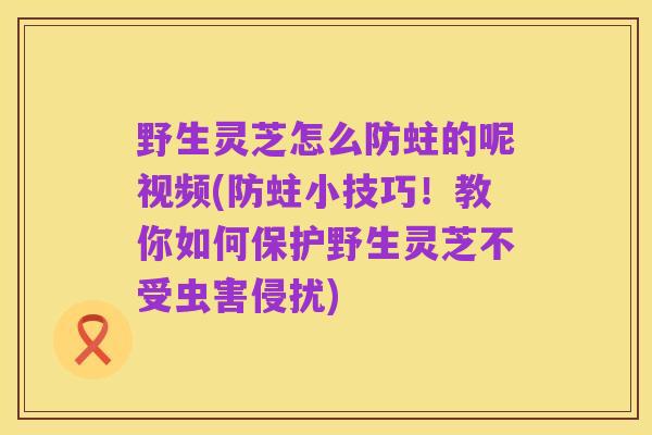野生灵芝怎么防蛀的呢视频(防蛀小技巧!教你如何保护野生灵芝不受虫害侵扰)