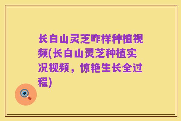 长白山灵芝咋样种植视频(长白山灵芝种植实况视频,惊艳生长全过程)