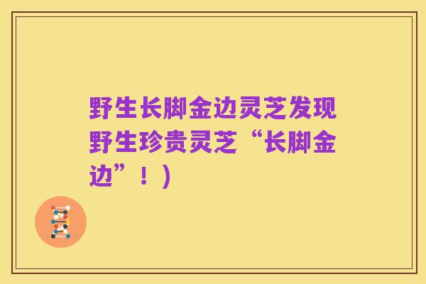 野生长脚金边灵芝发现野生珍贵灵芝“长脚金边”!)