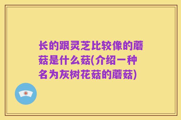 长的跟灵芝比较像的蘑菇是什么菇(介绍一种名为灰树花菇的蘑菇)