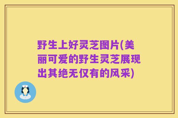 野生上好灵芝图片(美丽可爱的野生灵芝展现出其绝无仅有的风采)