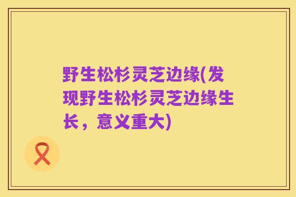 野生松杉灵芝边缘(发现野生松杉灵芝边缘生长，意义重大)