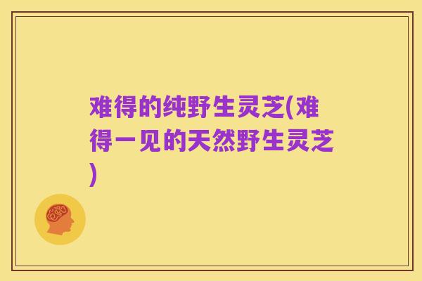 难得的纯野生灵芝(难得一见的天然野生灵芝)