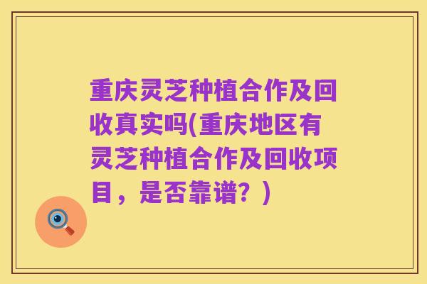重庆灵芝种植合作及回收真实吗(重庆地区有灵芝种植合作及回收项目,是否靠谱?)