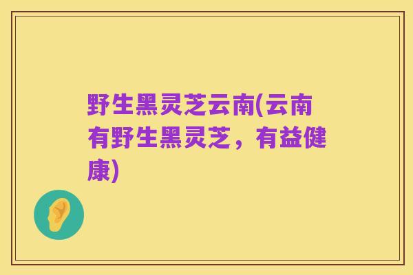 野生黑灵芝云南(云南有野生黑灵芝,有益健康)