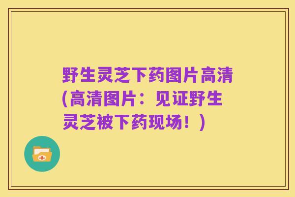 野生灵芝下药图片高清(高清图片：见证野生灵芝被下药现场！)