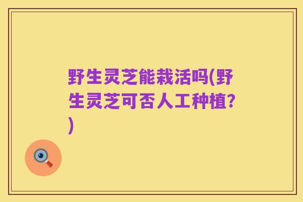 野生灵芝能栽活吗(野生灵芝可否人工种植?)