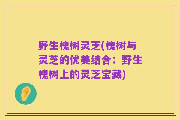 野生槐树灵芝(槐树与灵芝的优美结合:野生槐树上的灵芝宝藏)