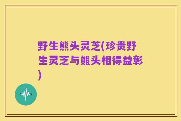 野生熊头灵芝(珍贵野生灵芝与熊头相得益彰)