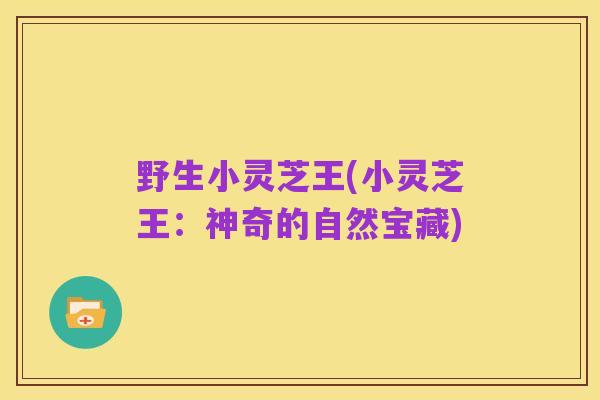 野生小灵芝王(小灵芝王:神奇的自然宝藏)