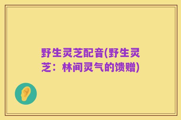 野生灵芝配音(野生灵芝:林间灵气的馈赠)