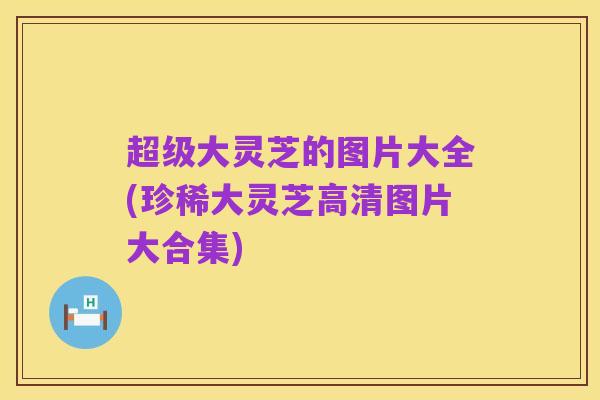 超级大灵芝的图片大全(珍稀大灵芝高清图片大合集)