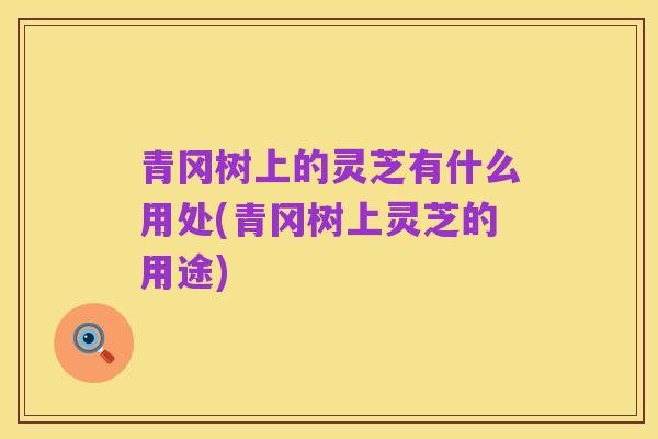 青冈树上的灵芝有什么用处(青冈树上灵芝的用途)