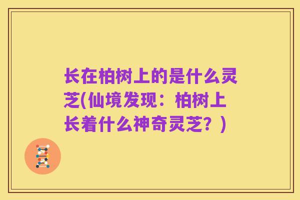 长在柏树上的是什么灵芝(仙境发现：柏树上长着什么神奇灵芝？)