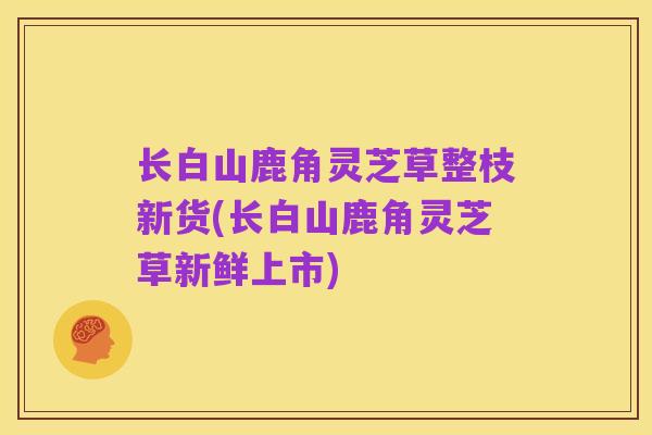 长白山鹿角灵芝草整枝新货(长白山鹿角灵芝草新鲜上市)