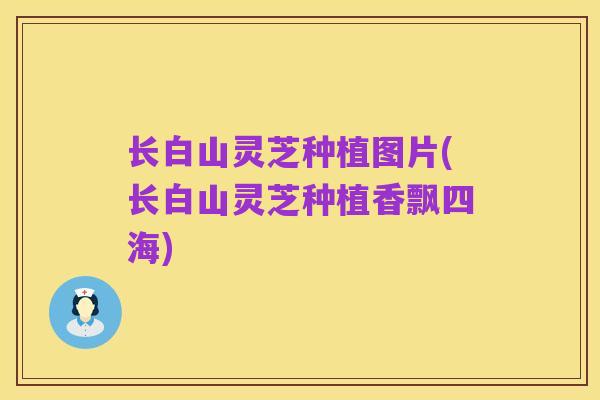 长白山灵芝种植图片(长白山灵芝种植香飘四海)