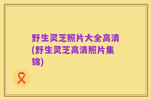野生灵芝照片大全高清(野生灵芝高清照片集锦)