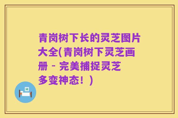 青岗树下长的灵芝图片大全(青岗树下灵芝画册 - 完美捕捉灵芝多变神态!)