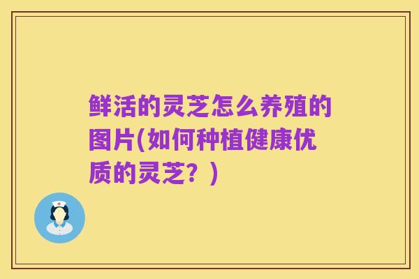 鲜活的灵芝怎么养殖的图片(如何种植健康优质的灵芝？)