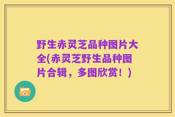 野生赤灵芝品种图片大全(赤灵芝野生品种图片合辑,多图欣赏!)