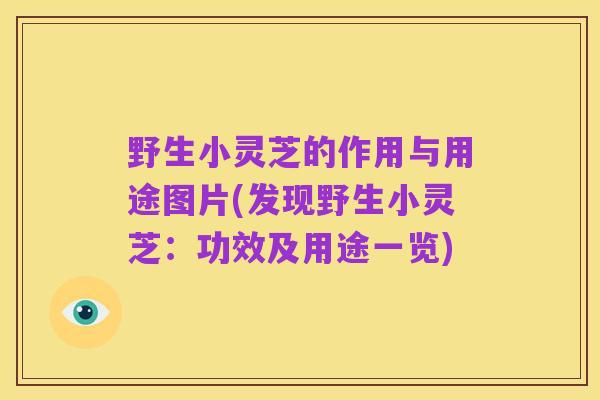 野生小灵芝的作用与用途图片(发现野生小灵芝:功效及用途一览)