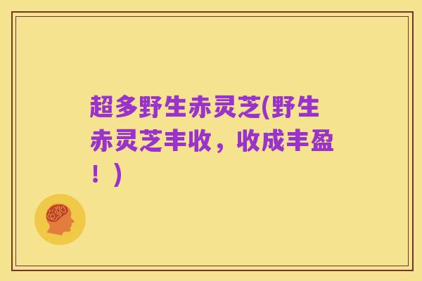 超多野生赤灵芝(野生赤灵芝丰收,收成丰盈!)
