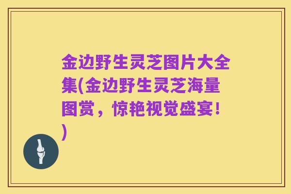 金边野生灵芝图片大全集(金边野生灵芝海量图赏,惊艳视觉盛宴!)