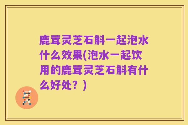 鹿茸灵芝石斛一起泡水什么效果(泡水一起饮用的鹿茸灵芝石斛有什么好处?)