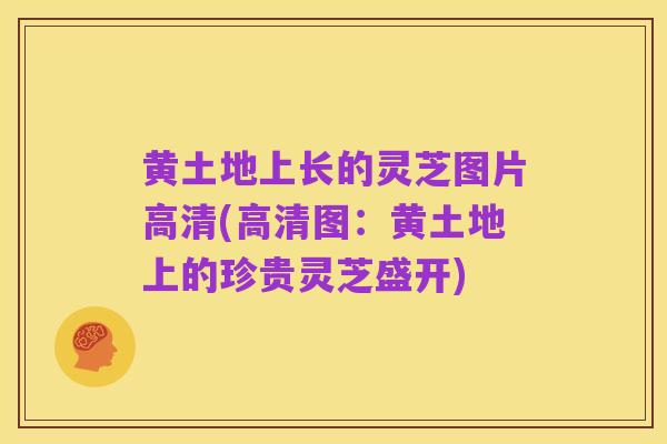 黄土地上长的灵芝图片高清(高清图：黄土地上的珍贵灵芝盛开)