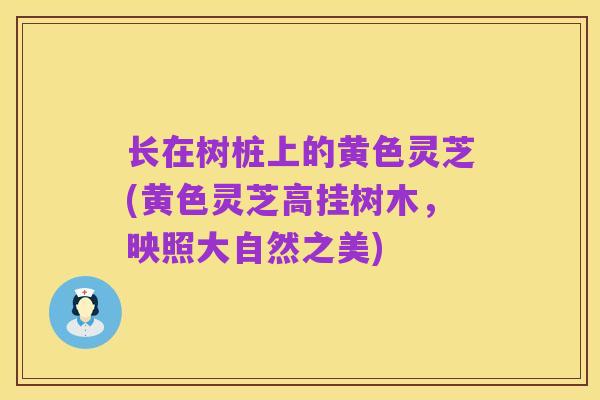 长在树桩上的黄色灵芝(黄色灵芝高挂树木,映照大自然之美)