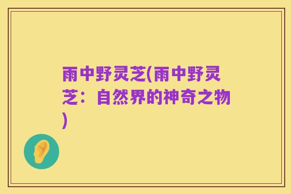 雨中野灵芝(雨中野灵芝:自然界的神奇之物)